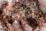 Pink Amethyst Geode - Choique Mine, Argentina #115051-1